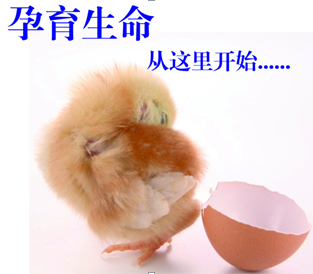 卵巢性不孕