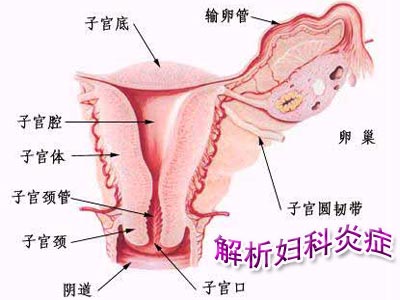 阴道炎