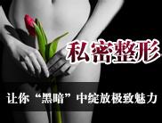 阴毛整形